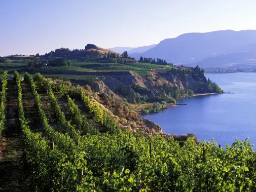 istock-172290241-naramata.jpg