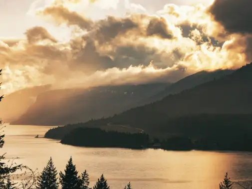 istock-2259883614---salmon-arm.jpg